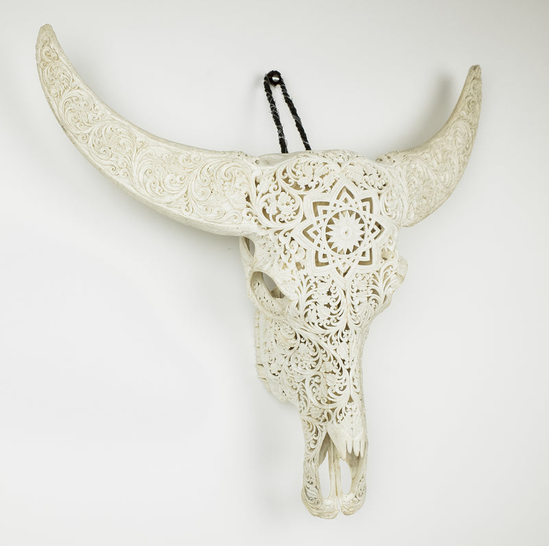 Graverat buffelkranium med graverade horn