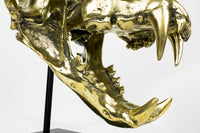Bronsstaty - Bronsgjutning av tigerkranium (Panthera tigris)